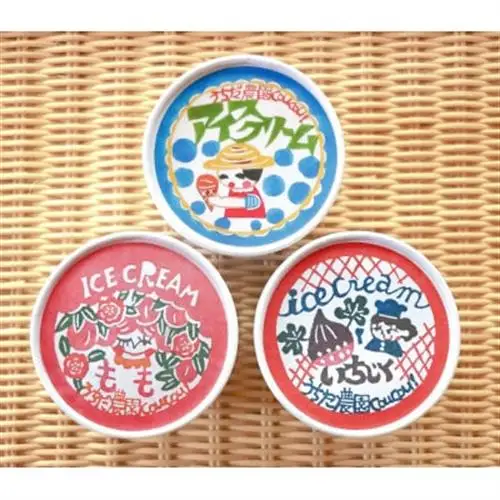 オリジナルアイスクリーム【3種 】6個詰め合わせセット_菓子・スイーツ アイス・ジェラート  _【配送不可地域：離島】【1569361】