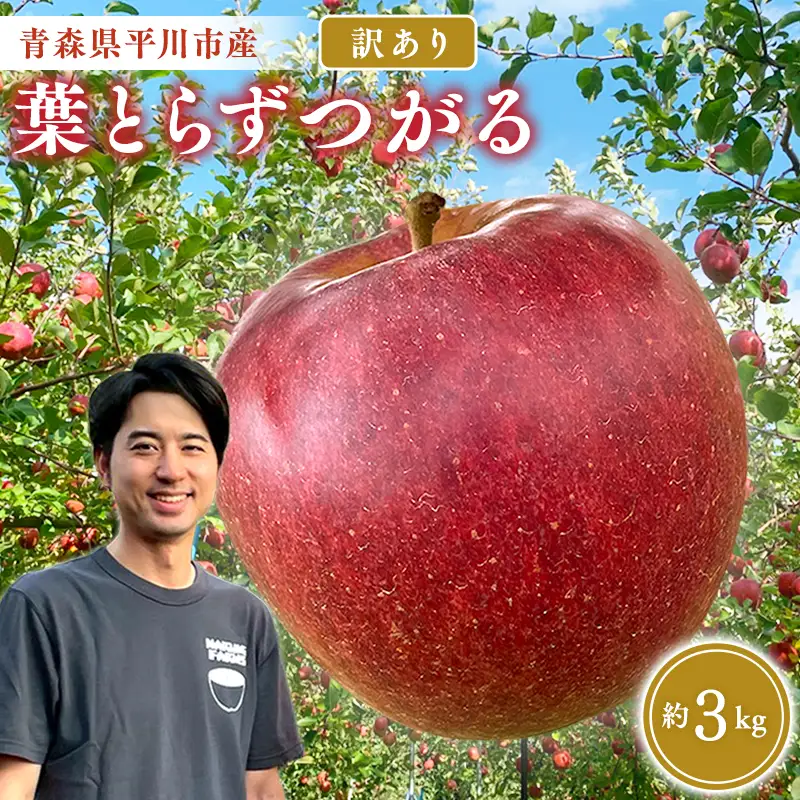 りんご 家庭用 つがる 約3kg 青森県平川市産　[hi-0036-002]
