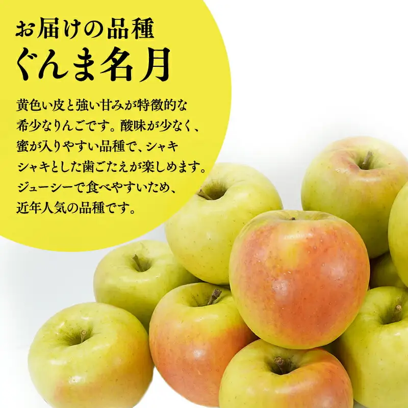 りんご 家庭用 ぐんま名月 約3kg 青森県平川市産　[hi-0036-005]