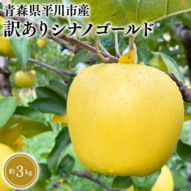 りんご 家庭用 シナノゴールド 約3kg 青森県平川市産　[hi-0036-006]