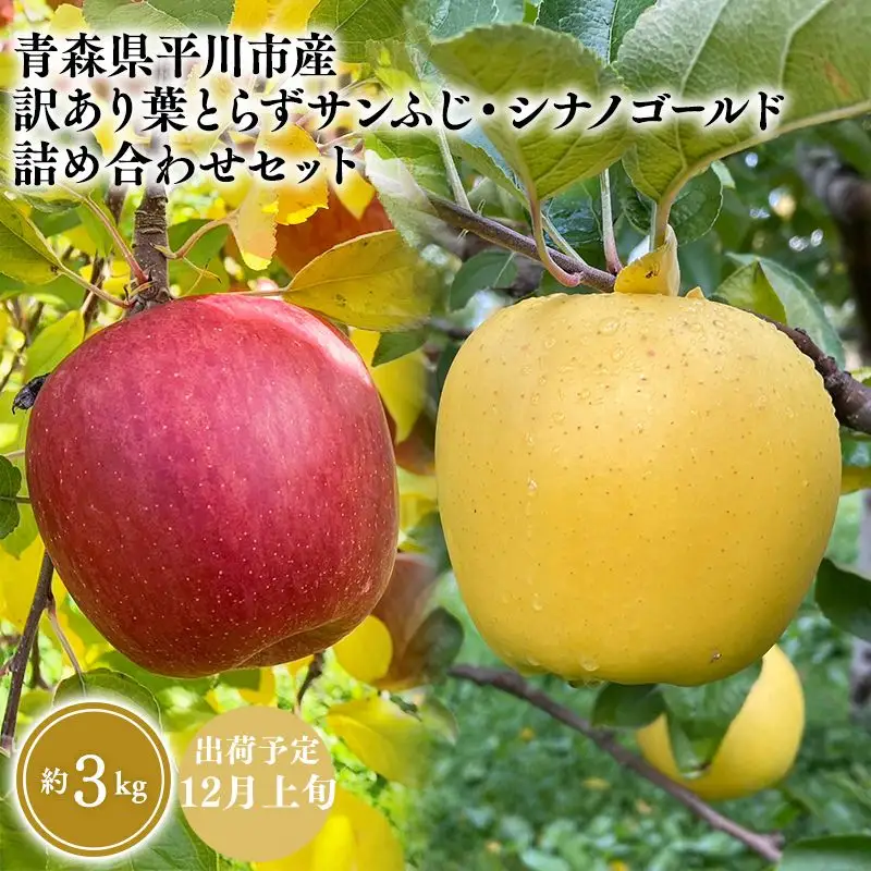 りんご 家庭用 葉とらずサンふじ・シナノゴールド 詰め合わせセット 約3kg 青森県平川市産　[hi-0036-008]