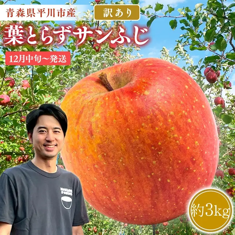りんご 家庭用 葉取らずサンふじ 約3kg 青森県平川市産　[hi-0036-009]