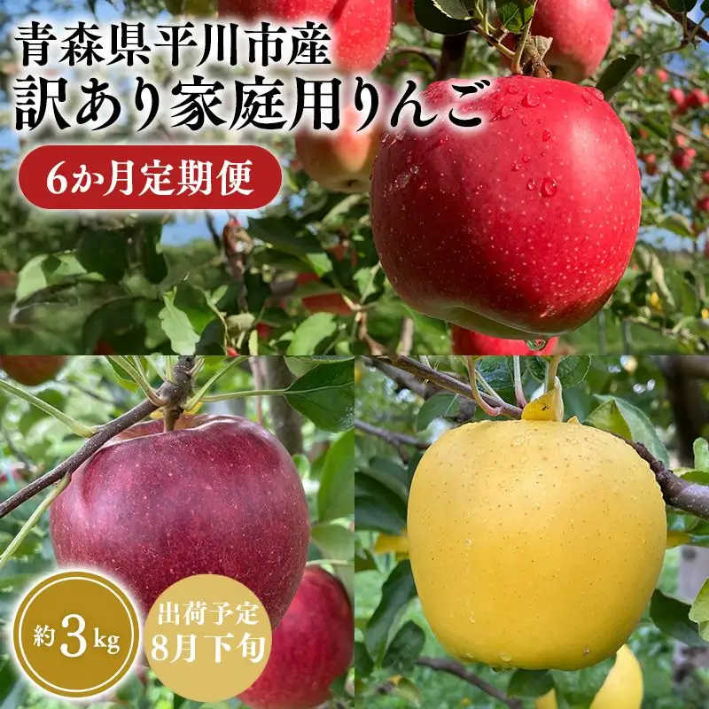 りんご 家庭用 6か月定期便 約3kg 青森県平川市産 [hi-0036-010]