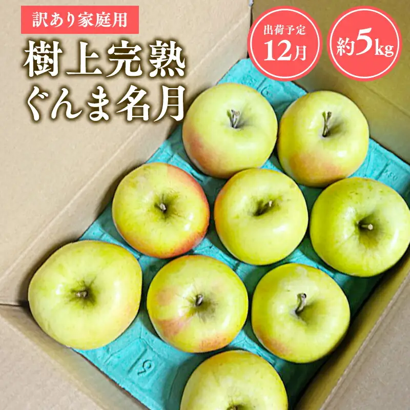 りんご 家庭用 樹上完熟ぐんま名月約5㎏ 青森県平川市産 [hi-0038-022]