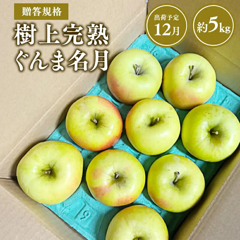 りんご 贈答用 樹上完熟ぐんま名月約5㎏ 【hi-0038-023】