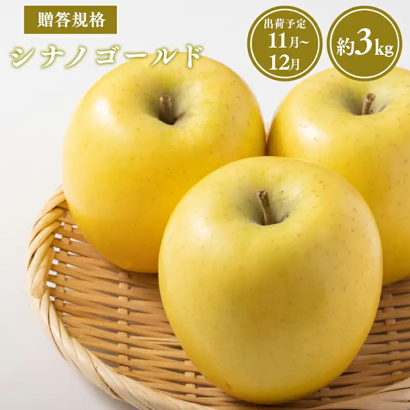 りんご 贈答用 シナノゴールド約3kg 青森県平川市産[hi-0038-033]