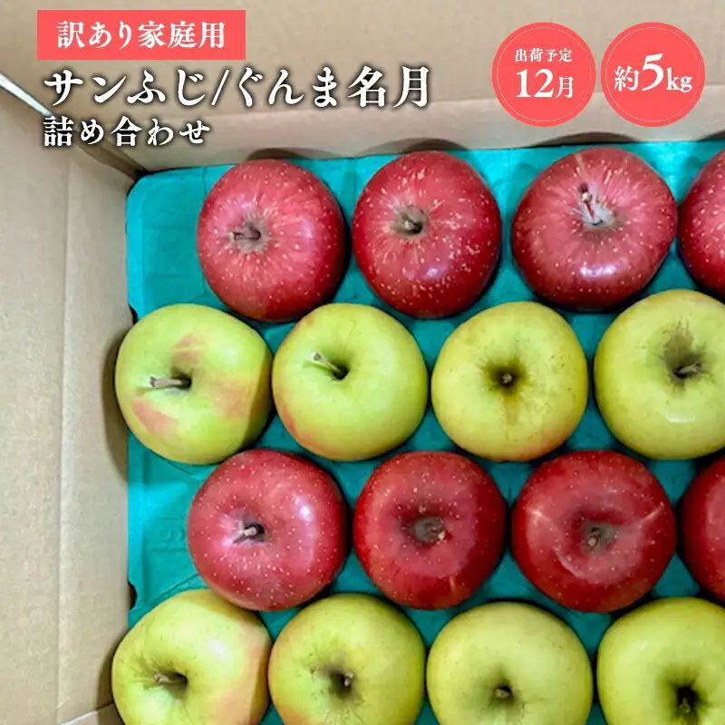 りんご 家庭用 サンふじ/ぐんま名月 詰め合わせ約5㎏ 青森県平川市産 [hi-0038-038]