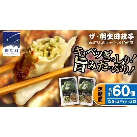 【 定期便 隔月2回 】 まぼろしのキャベツ419使用 ザ・羽生田餃子 15個 × 2パック 計30個 × 2回 ( 合計 60個 ) [AL017tu]