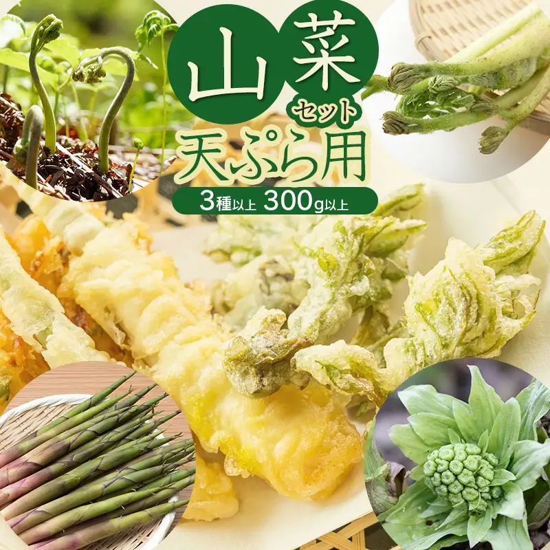 【令和9年発送】山菜セット天ぷら用 （3種以上） 計300g以上 山形県鶴岡産 グレイスファーム