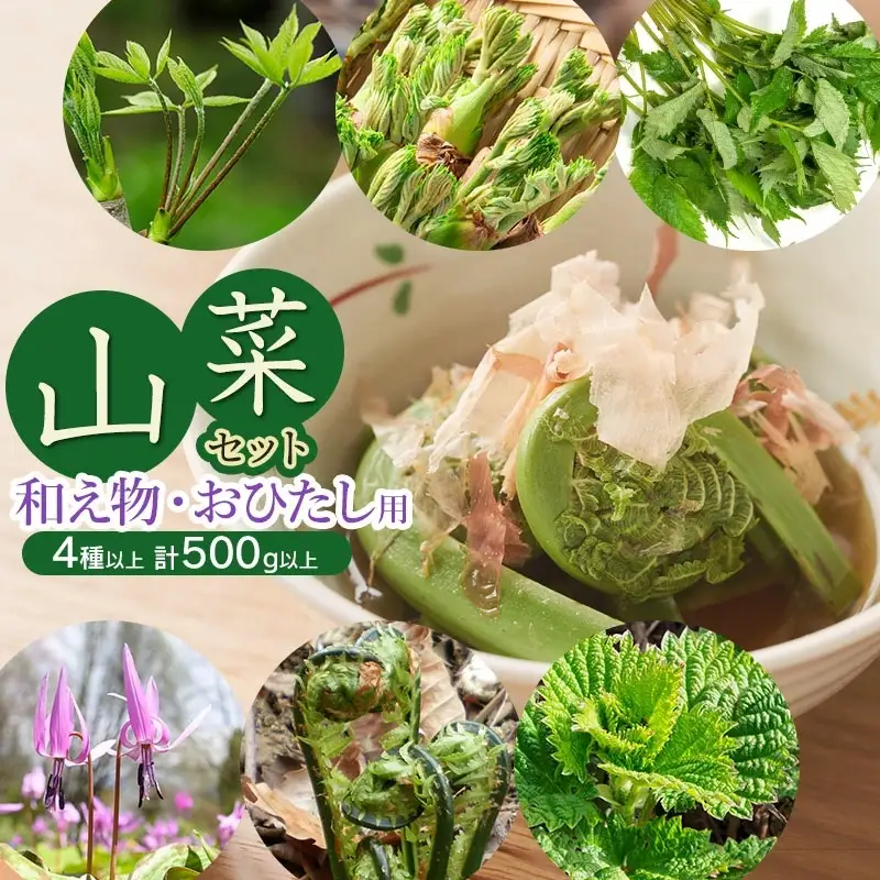【令和9年発送】山菜セット 和え物・おひたし用（4種以上） 計500g以上 山形県鶴岡産 グレイスファーム