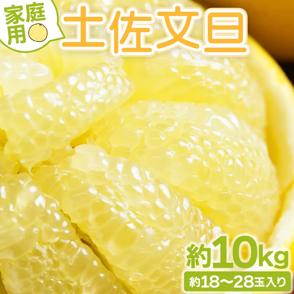 【2月より順次発送】土佐文旦 10kg 家庭用 文旦 yk-0070