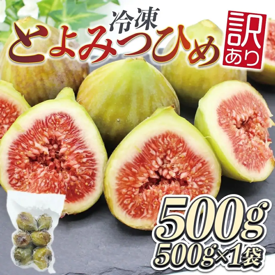 訳あり冷凍いちじく（とよみつひめ」）500ｇ【JAほたるの里】_HA1657