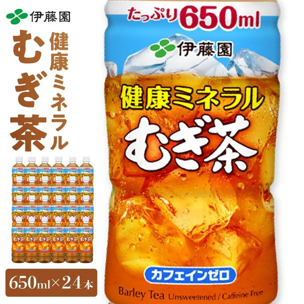 定期便 毎月 全6回 健康ミネラル麦茶 650ml×24本 １ケース 6ヶ月定期便