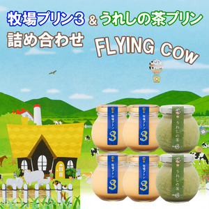 CK016_牧場プリン3　うれしの茶プリン詰め合わせ