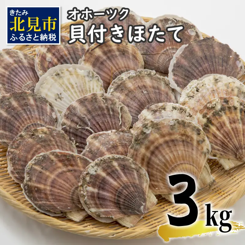 【予約：2026年3月下旬から順次発送】オホーツク貝付きほたて 3kg 15枚～25枚 ( 海鮮 魚介 魚介類 貝 貝類 ホタテ ほたて 帆立 殻付き 貝柱 贈答 ギフト 贈り物 お中元 お祝い BBQ バーベキュー )【031-0012-2026】
