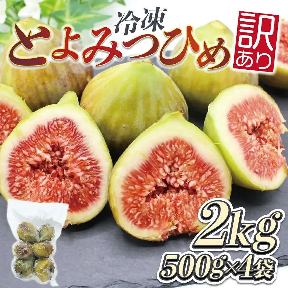 訳あり冷凍いちじく（とよみつひめ」）2kg【JAほたるの里】_HA1659
