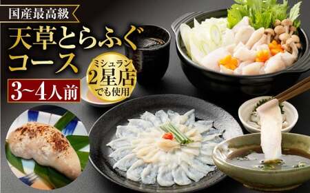 【白子付】【大皿】 国産 最高級!! 天草とらふぐ コース 【2026年12月下旬発送開始】 6種 セット 河豚 フグ ふぐ 刺し身 刺身 さしみ 白子 お魚 魚 さかな 魚介 魚介類