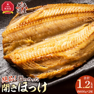 絶品脂ののった 北海道産 開きほっけ 約1.2kg (約600g×2尾セット) | ほっけ_03898