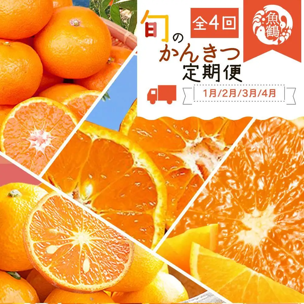 【1・2・3・4月 全4回 定期便】紀州和歌山産旬のご家庭用柑橘セット(みかん・不知火・せとか・清見)