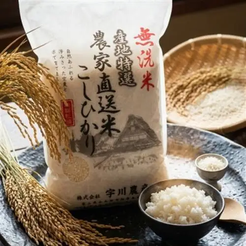 【令和7年産】慣行栽培コシヒカリ(無洗米)　精米　10kg【1570274】