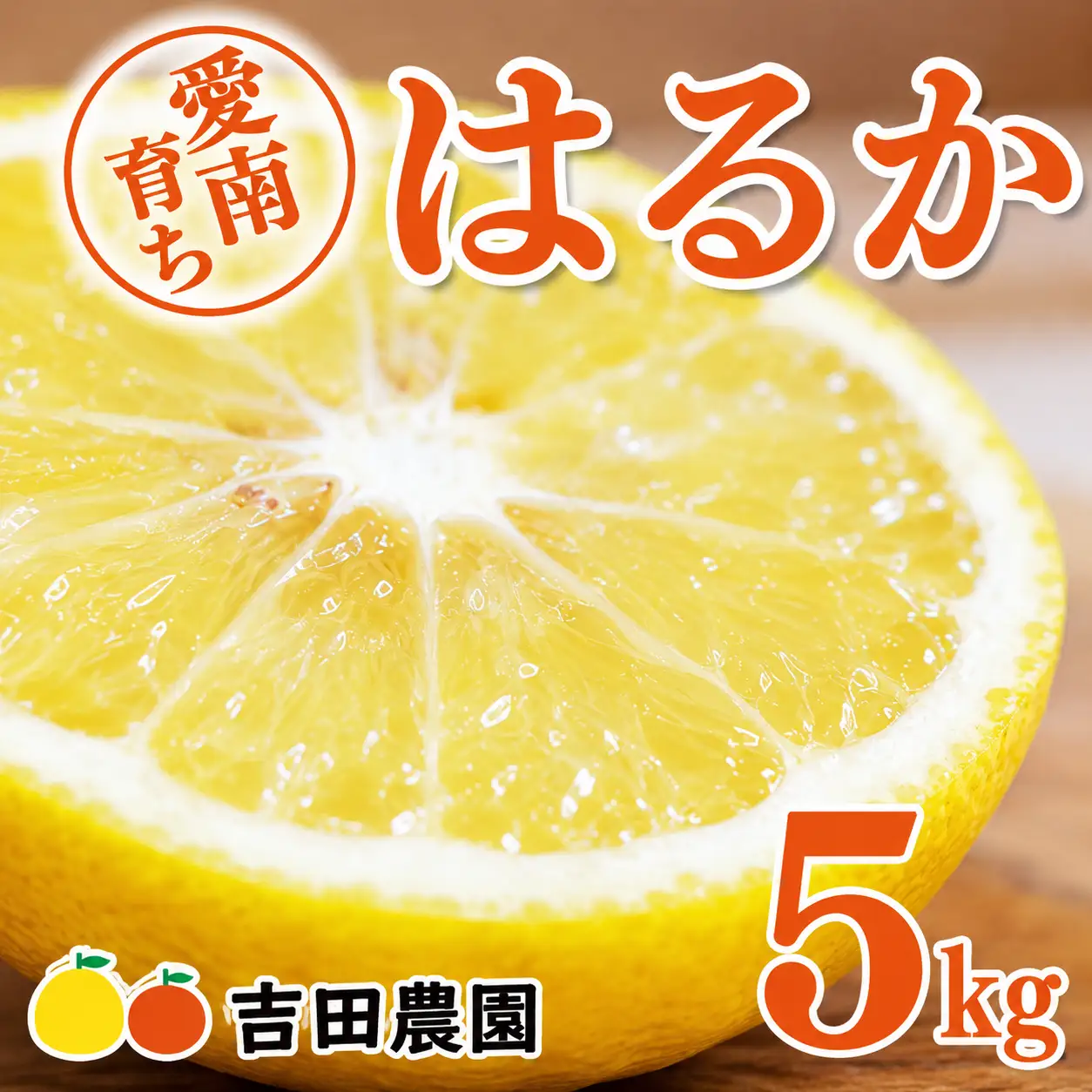 【先行予約】 はるか 5kg みかん フルーツ みかん 果物 くだもの 柑橘 オレンジ 愛媛 愛南 吉田農園