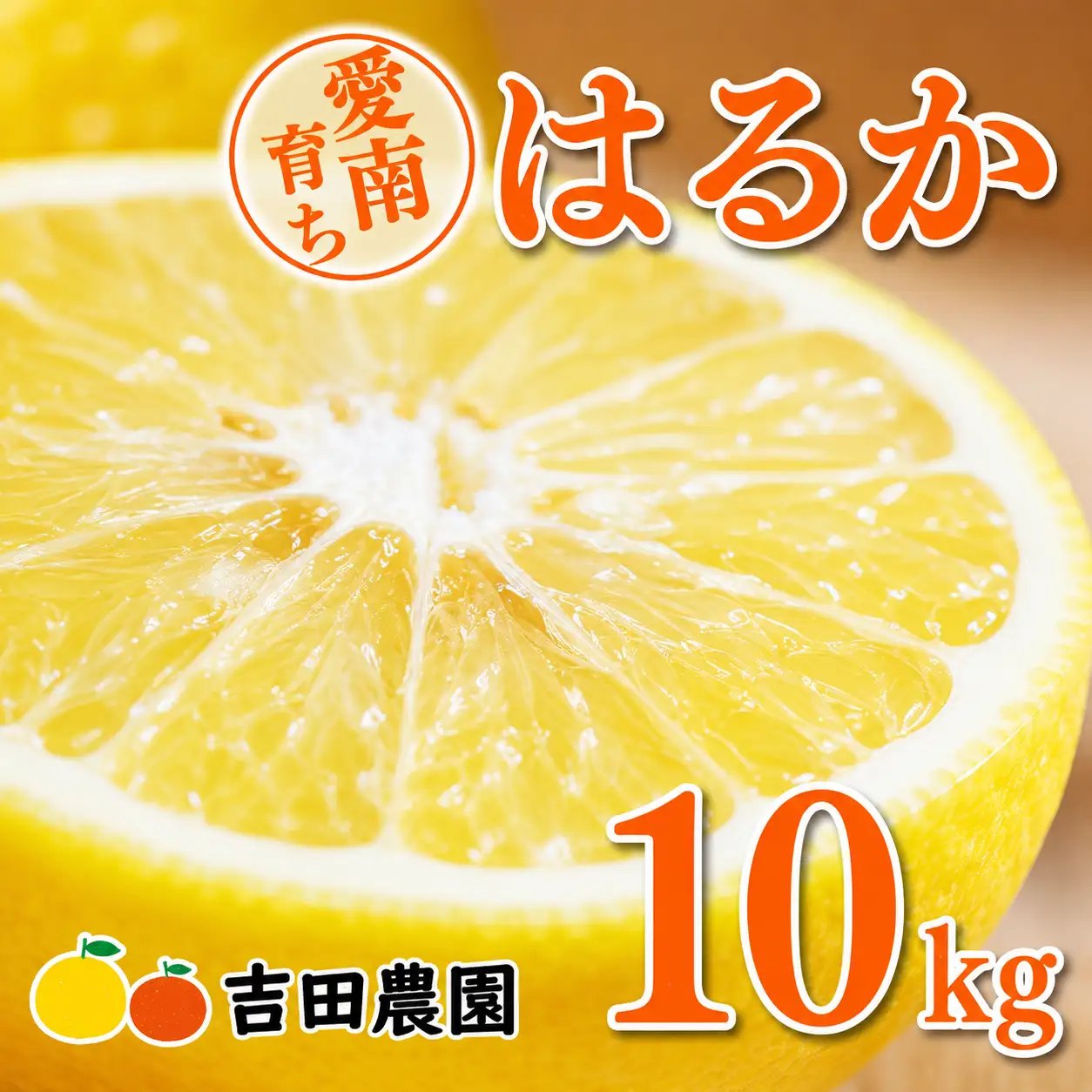 【先行予約】はるか 10kg みかん フルーツ みかん 果物 くだもの 柑橘 オレンジ 愛媛 愛南 吉田農園