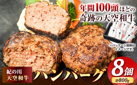 黒毛和牛 ハンバーグ 天空和牛ハンバーグ 約800g (約100g×8個) 有限会社松牛