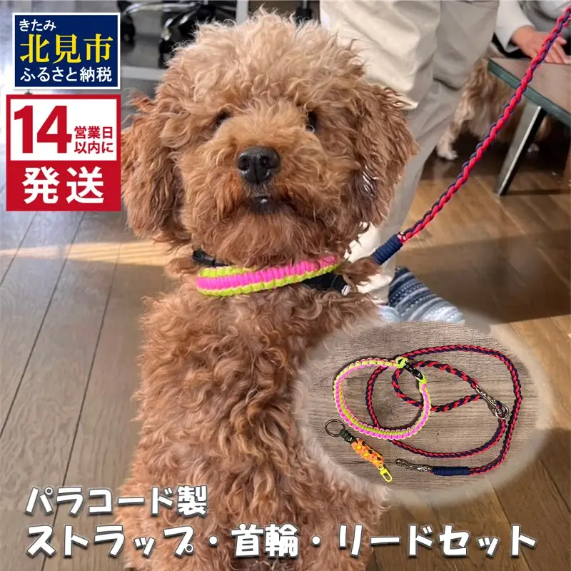 《14営業日以内に発送》パラコード製 ストラップ 1個 小型犬用首輪 1個 小型犬用リード1本 3点セット ( ペット 犬 小物 わんこ 手作り 首輪 リード )【195-0005】