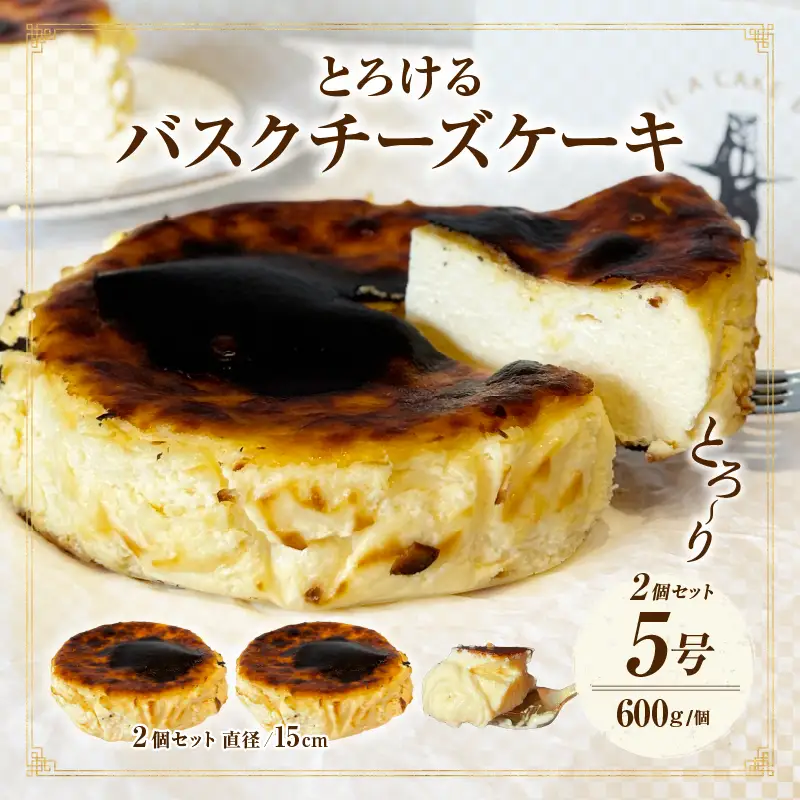 究極のとろけるバスクチーズケーキ　2点セット・T113