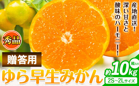 【先行予約】秀品 贈答用 ゆら 早生みかん 約 10kg (2S～2Lサイズ) みかん