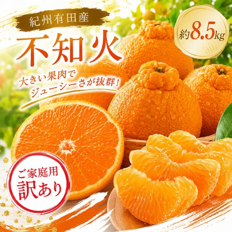 【訳あり・ご家庭用】紀州有田産不知火(しらぬひ) 約8.5kg 【予約】【2027年2月中旬頃〜3月中旬頃に順次発送予定(お届け日指定不可)】【Z-uot864】