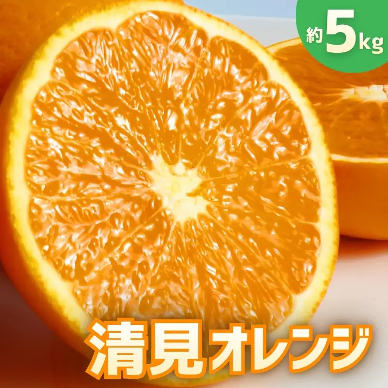 【予約】【ジューシー】清見オレンジ 約5kg　【2027年3月下旬頃〜2027年4月下旬頃に順次発送予定（お届け日指定不可）】【Z-uot710-2】