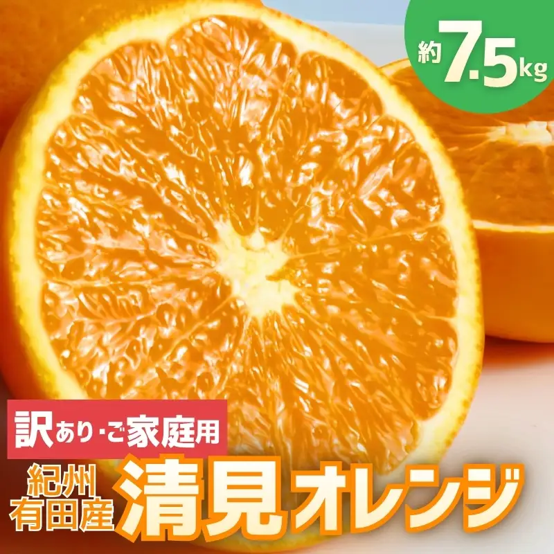 【訳あり・ご家庭用】紀州有田産清見オレンジ　約7.5kg【2027年3月下旬頃〜2027年4月下旬頃に順次発送予定(お届け日指定不可)】【Z-uot862】