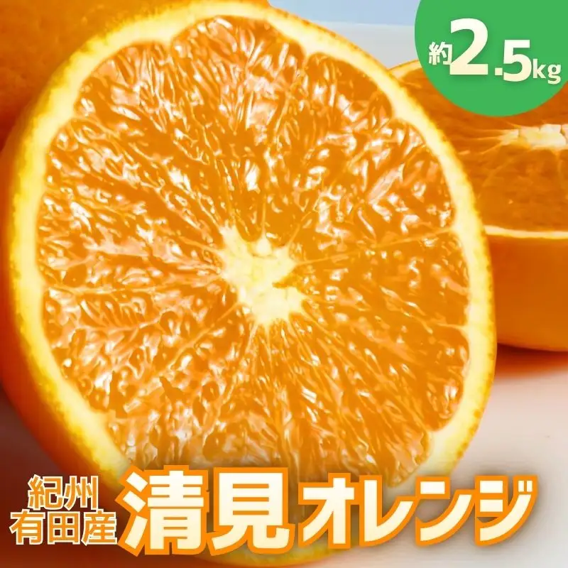 【予約】【ジューシー】清見オレンジ 約2.5kg　【2027年3月下旬頃〜2027年4月下旬頃に順次発送予定（お届け日指定不可）】【Z-uot832A】