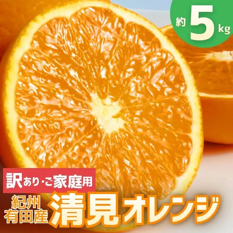 【訳あり・ご家庭用】紀州有田産清見オレンジ　約5kg 【2027年3月下旬頃〜2027年4月下旬頃に順次発送予定(お届け日指定不可)】【Z-uot863】