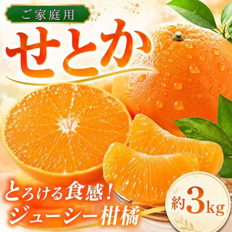 【訳あり・ご家庭用】ジューシー柑橘 せとか 約3kg【先行予約】 せとか みかん ミカン 柑橘 フルーツ 果物 くだもの【2027年2月下旬頃〜3月中旬頃発送予定（お届け日指定不可）】【Z-uot844A】