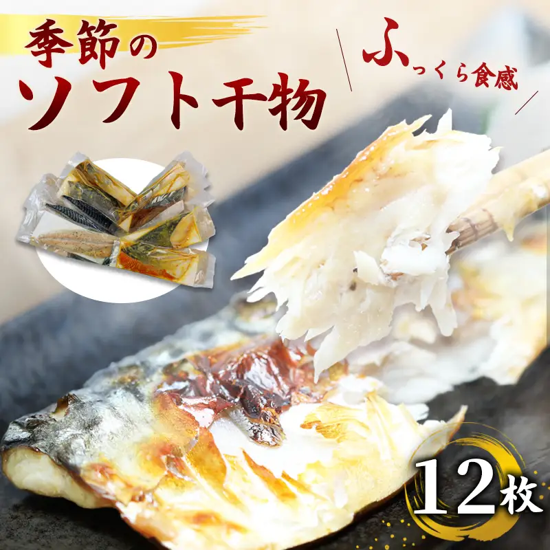 干物 12枚 おまかせ干物セット
