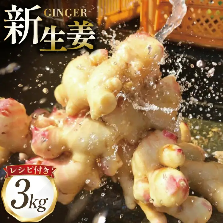 BI381 島原百年生姜 新生姜 3kg