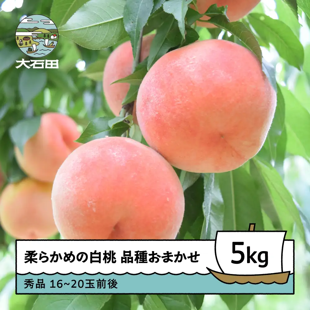 【先行予約】 桃 もも 柔らかめの白桃 品種おまかせ 5kg 山形県産 2027年産 令和9年産 フルーツ 果実 送料無料 ry-mohts5000