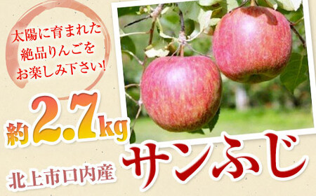 【北上市/口内産】りんご（サンふじ）約2.7kg 産地直売所 あぐり夢 くちない B0235 りんご 果物 フルーツ デザート おやつ お土産 お祝い 子供 ファミリー 家庭 赤いリンゴ ふじ サンフジ 産地直送 岩手県北上市 B0235