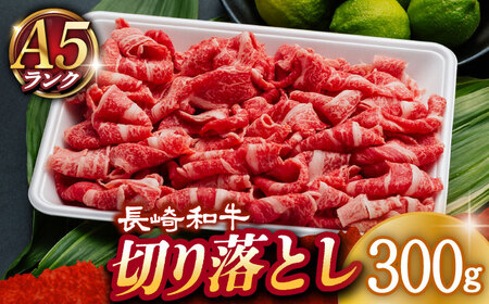 【A5ランク】 長崎和牛 切り落とし300ｇ  [DAR049]
