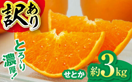 【ちょっと訳あり家庭用】せとか 約3kg  /カームシトラス[AGBW015]