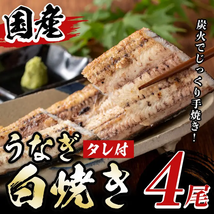 国産！うなぎ白焼き(4尾・タレ付き) 国産 九州産 鰻 ウナギ 無頭 魚 魚介類 かばやき 蒲焼 蒲焼き しろやき 白焼 おかず 特産品 お土産 ギフト プレゼント 冷蔵 【尾方屋】_y509