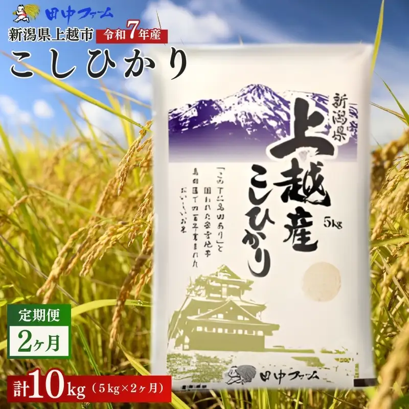 【2ヶ月定期便】上越市産 コシヒカリ 5kg 精米 コシヒカリ