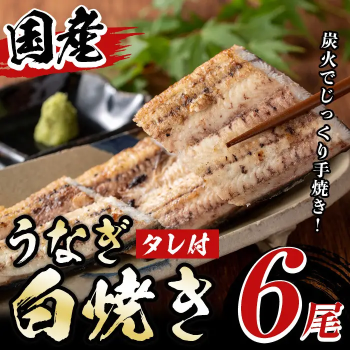 国産！うなぎ白焼き(6尾・タレ付き) 国産 九州産 鰻 ウナギ 無頭 魚 魚介類 かばやき 蒲焼 蒲焼き しろやき 白焼 おかず 特産品 お土産 ギフト プレゼント 冷蔵 【尾方屋】_y510