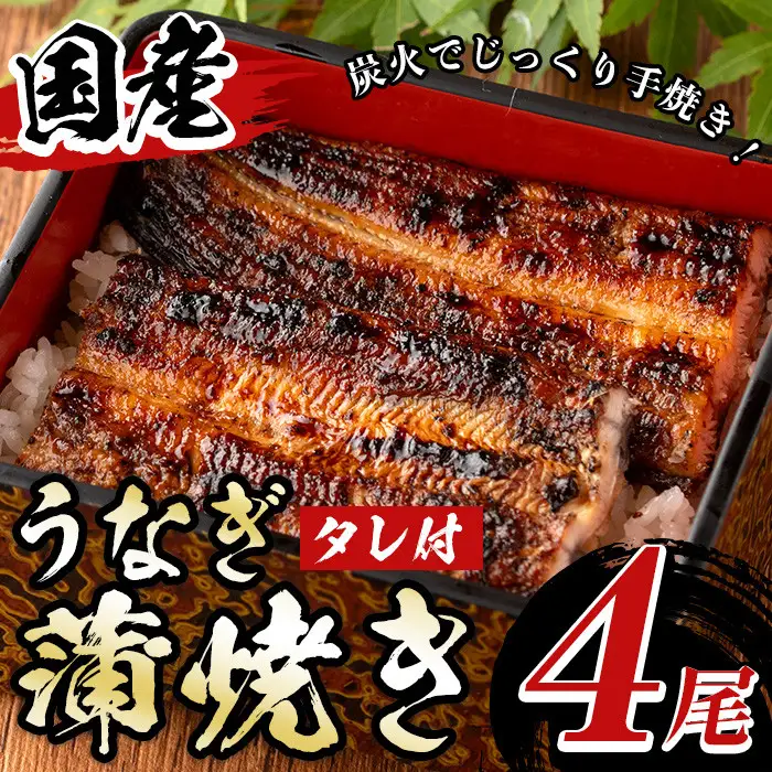 国産！うなぎ蒲焼き(4尾・タレ付き) 国産 九州産 鹿児島県 宮崎県 鰻 ウナギ unagi うな重 うな丼 ひつまぶし うなじゅう 蒲焼 かばやき 白焼 しらやき 無頭 魚 魚介類 土用 丑の日 タレ タレ付 おかず 惣菜 冷蔵 特産品 お土産 ギフト プレゼント ご贈答用 【尾方屋】_y511