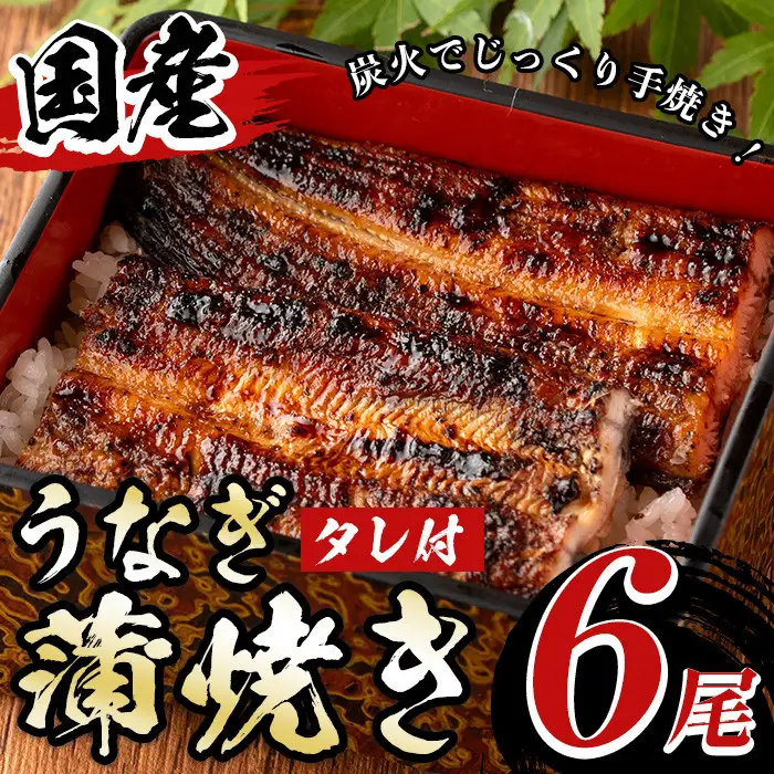 国産！うなぎ蒲焼き(6尾・タレ付き) 国産 九州産 鹿児島県 宮崎県 鰻 ウナギ unagi うな重 うな丼 ひつまぶし うなじゅう 蒲焼 かばやき 白焼 しらやき 無頭 魚 魚介類 土用 丑の日 タレ タレ付 おかず 惣菜 冷蔵 特産品 お土産 ギフト プレゼント ご贈答用 【尾方屋】_y512