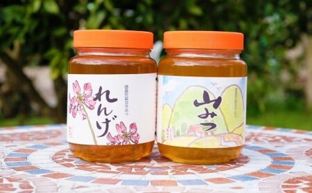 はちみつ 国産 天然 純はちみつ 各1kg れんげ＆やまみつ ハチミツ 蜂蜜 