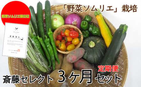 予約受付】2025年7月中旬発送予定【 定期便 】 野菜ソムリエ 齋藤セレクト 3ヶ月セット 旬 野菜 7品 以上 定期便 詰め合わせ 岩手県 北上市 F0077 齋藤 智仁 きゅうり ミニトマト たまねぎ にんじん ナス ピーマン ジャンボシシトウ パプリカ インゲン キャベツ ズッキーニ とうがらし 絹さや えだまめ とうもろこし