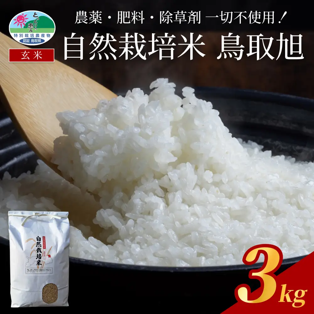 【2026新米先行予約】自然栽培米 鳥取旭（玄米）3kg｜鳥取 岩美 岩美町産 お米 こめ 玄米 無農薬 無肥料 【31022】